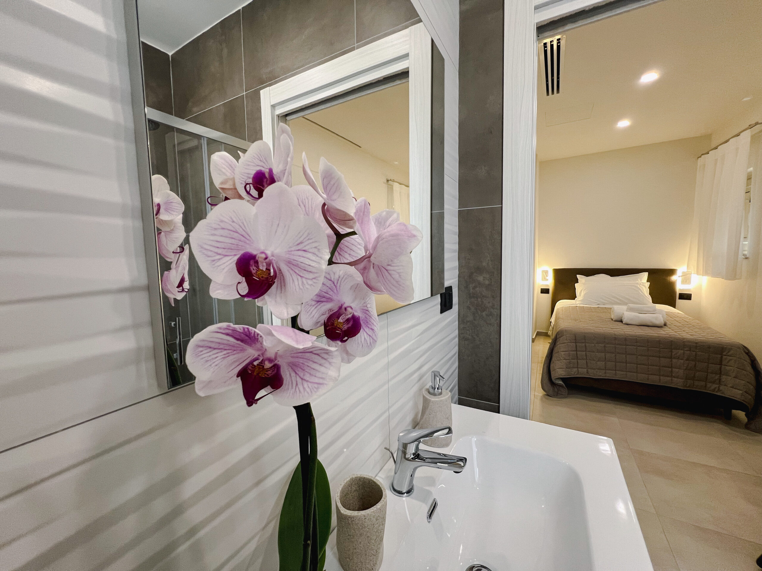 DonDiegowide-23